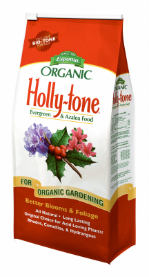 4LB Holly Tone