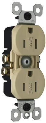 15A IVY DPLX Receptacle