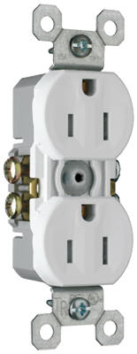 15A WHT DPLX Receptacle