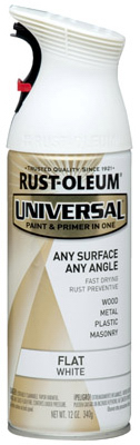 12OZ FLT WHT Spr Paint