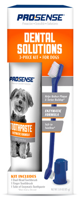Prop Dental Start Kit