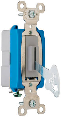 15A GRY Keyed SP Switch