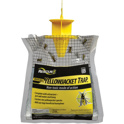 Disp Yellowjacket Trap