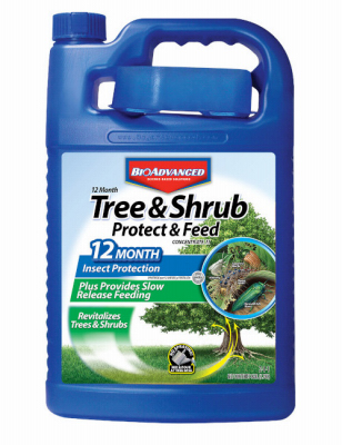 GAL Conc Shrub Control