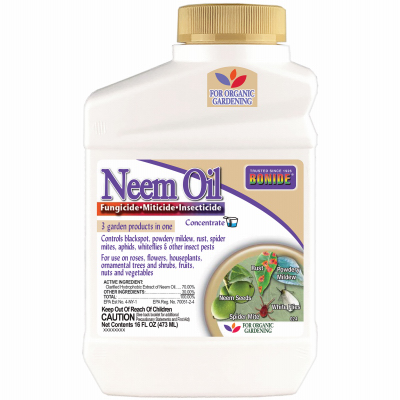 16OZ Conc Neem Oil