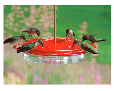 8-3/4" Humming Feeder