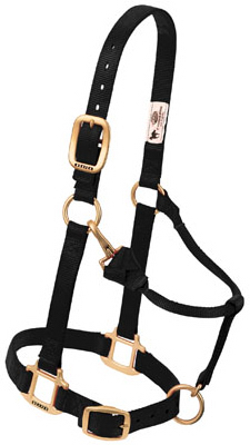 1" ADJ BLK Snap Halter