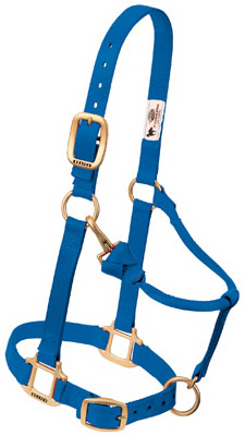 1" ADJ BLU Snap Halter
