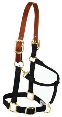 1" Horse BLK Nyl Halter