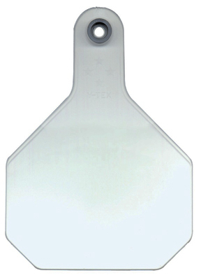 25PK LG WHT Blank Tag