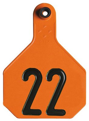 25PK LG ORG Number Tag