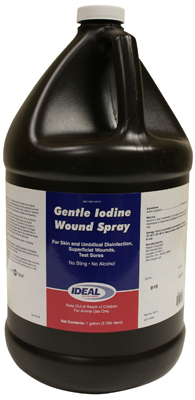 GAL 1% Iodine