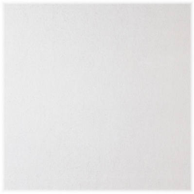 2x4 Stonehrst Ceil Tile