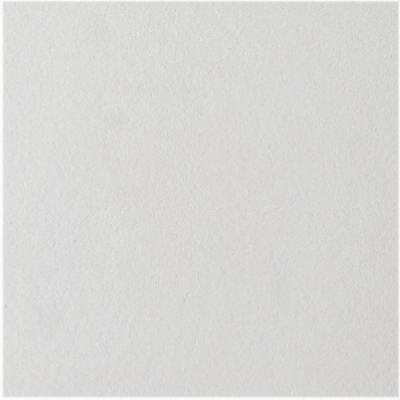 12x12 Ceil Tile