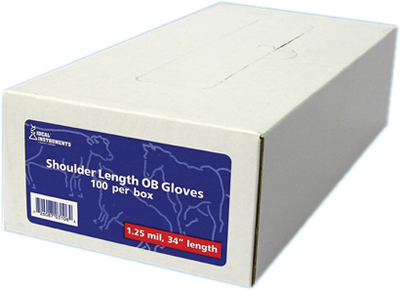 100CT LG OB Slee Glove