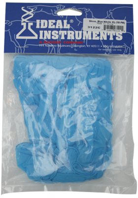 10PK LG BLU Nitr Glove