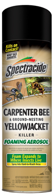 16OZ Carpent Bee Killer