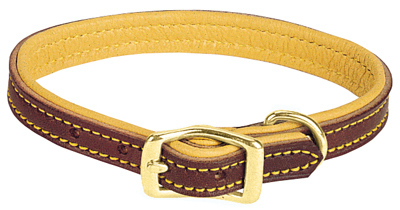 1x21 Deer Ridge Collar