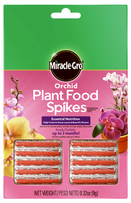 MG 10PK Orchid Spike