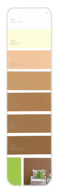 10PK Palette Card D03