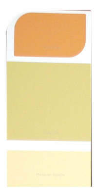 10PK WH IdeaCard WHIC36