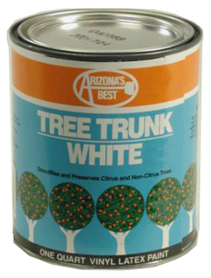 QT WHT Tree Paint