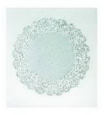12PK 10" Paper Doily