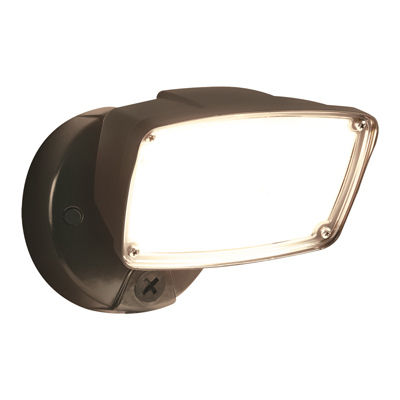 BRZ LED FLD Secur Light