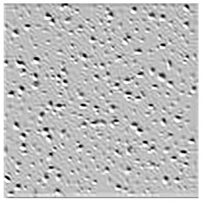 2x2 Radar Ceiling Tile