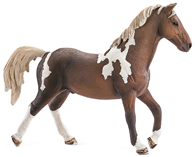 BRN Trakehner Stallion