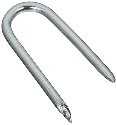 2-1/2" ZN Wire Staple