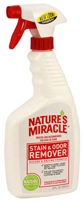 24OZ Stain/Odor Remover