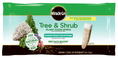 MG 12PK Tree/Shru Spike