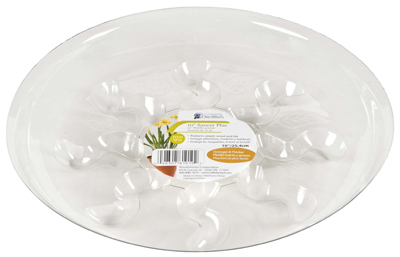 8" Saucer Plus
