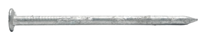 5LB 2.5"8D WHT Cem Nail