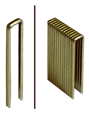 1K 1x1/4 18GA Staple
