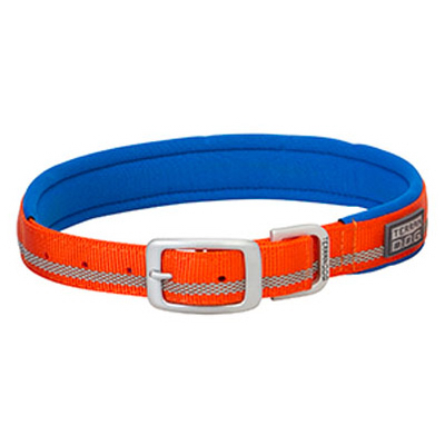 19"ORG Terr Dog Collar