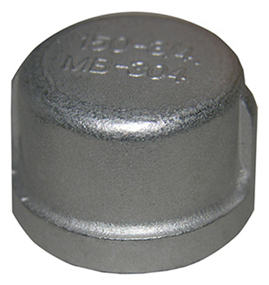 3/4" SS Pipe Cap