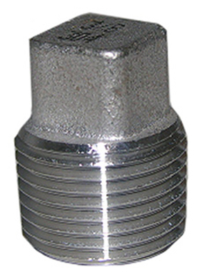 1/4" SS Pipe Plug