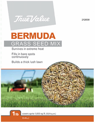 GT LB Bermuda Seed