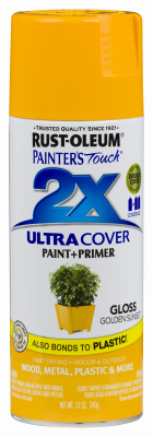 PT2X 12OZ SUN GLS Paint