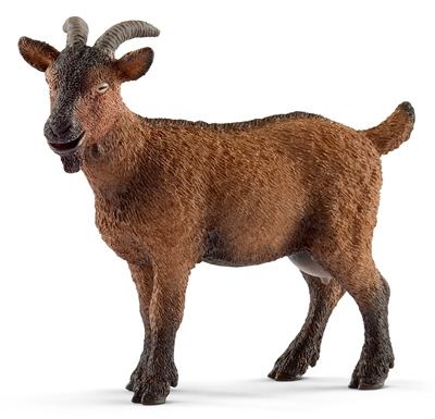 BRN Goat