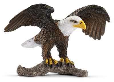 BRN Bald Eagle