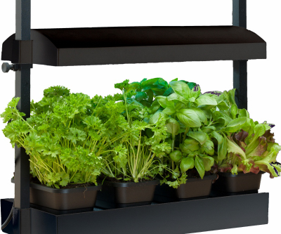 Micro Grow LGT Garden