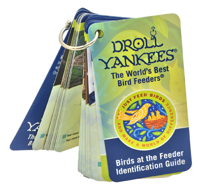 Bird Feeder Guide