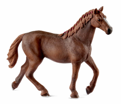 BRN Thoroughbred Mare