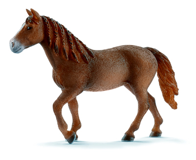 BRN Morgan Mare