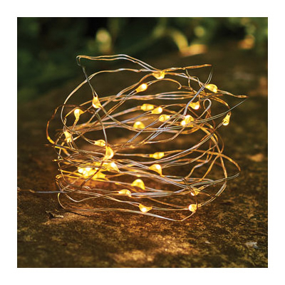 50LT WW LED String LGT