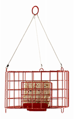 PopOut Suet BSKT Feeder