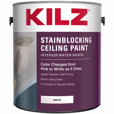 GAL WHT Ceil Paint